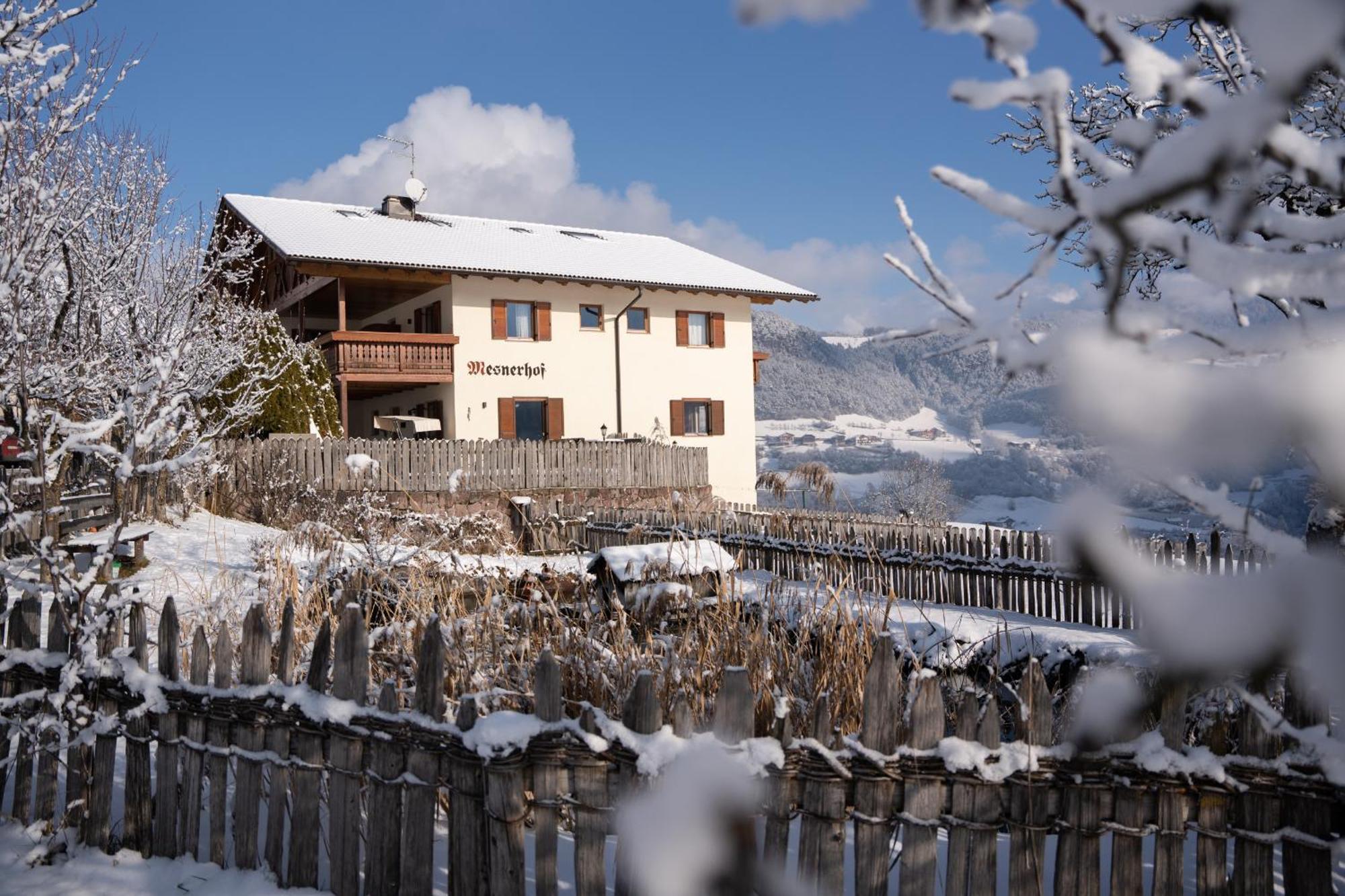 Mesnerhof My Paradise Völs am Schlern Exterior photo